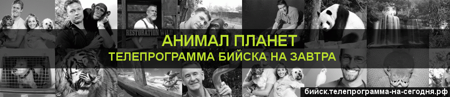 Телепрограмма на завтра канала Анимал Планет, Бийск